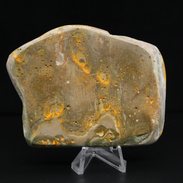 Jasper Bumblebee Specimen Authenticity Decoration