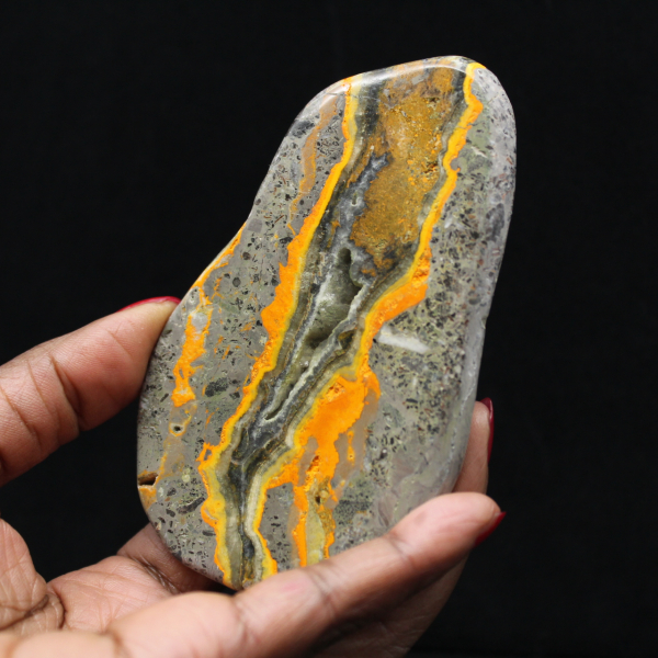 Bumblebee Jasper Specimen Polished Science Collection