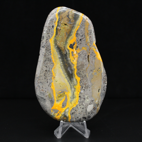 Bumblebee Jasper Specimen Polished Science Collection