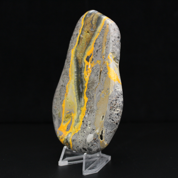 Bumblebee Jasper Specimen Polished Science Collection