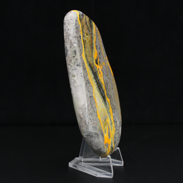 Bumblebee Jasper Specimen Polished Science Collection