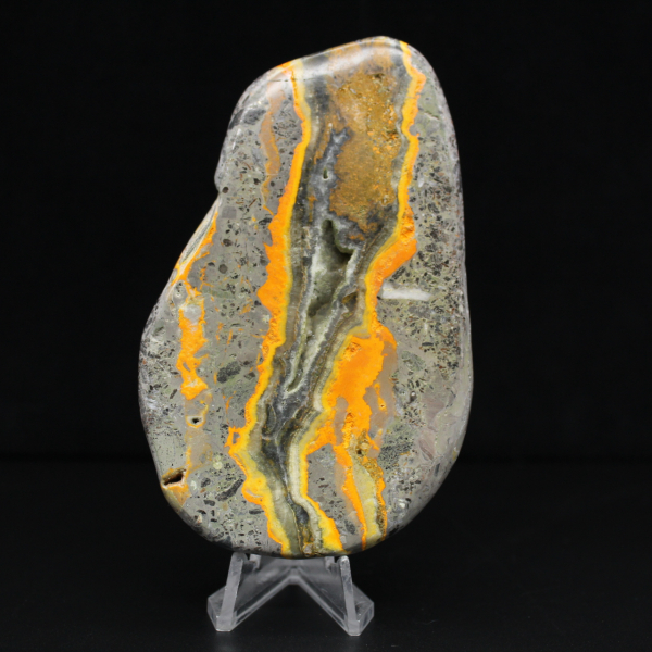 Bumblebee Jasper Specimen Polished Science Collection