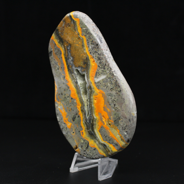 Bumblebee Jasper Specimen Polished Science Collection