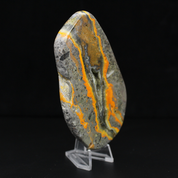 Bumblebee Jasper Specimen Polished Science Collection