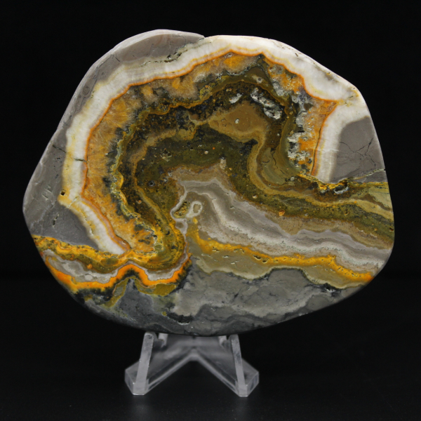 Polished Jasper Bumblebee Ornament, Indonesia, Rare