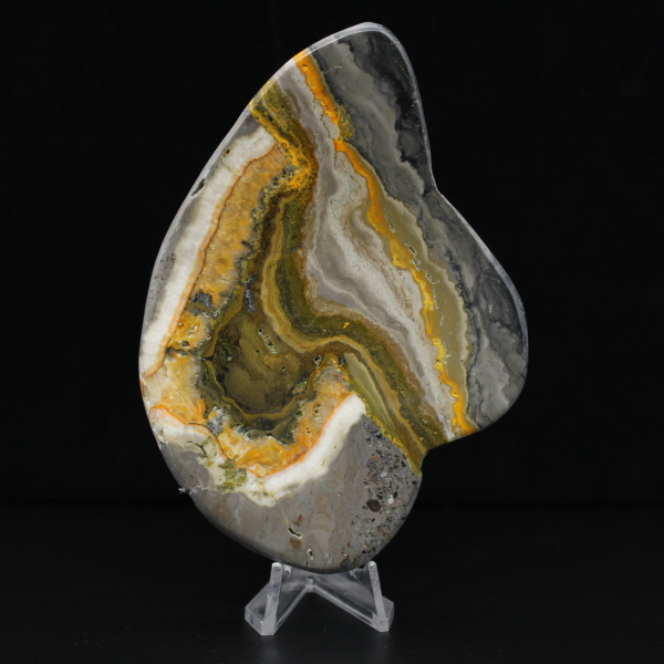 Polished Bumblebee Jasper Rock Mineral Science