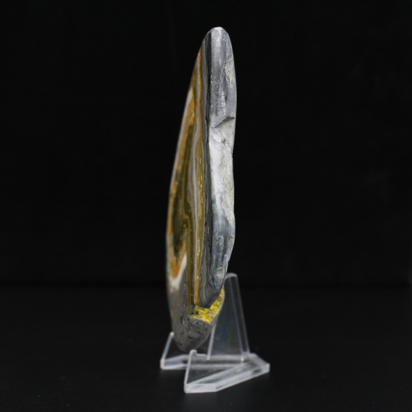 Polished Bumblebee Jasper Rock Mineral Science