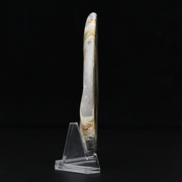 Polished Bumblebee Jasper Rock Mineral Science