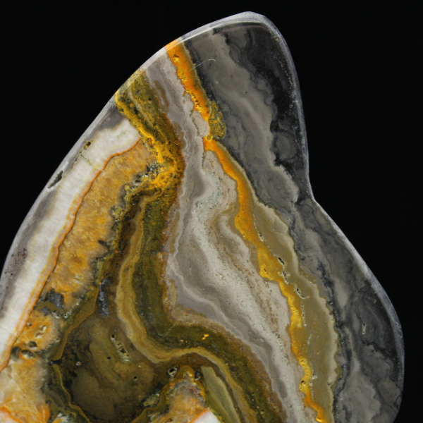 Polished Bumblebee Jasper Rock Mineral Science