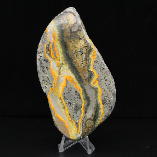 Polished Bumblebee Jasper, Rare Specimen Indonesia