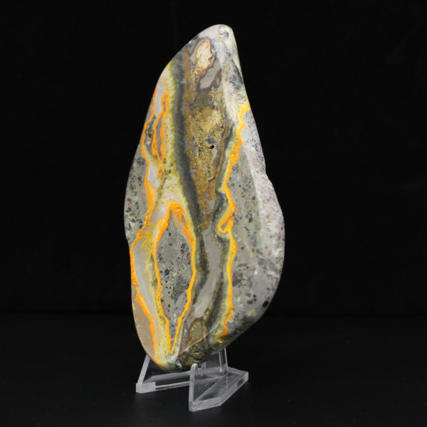 Polished Bumblebee Jasper, Rare Specimen Indonesia