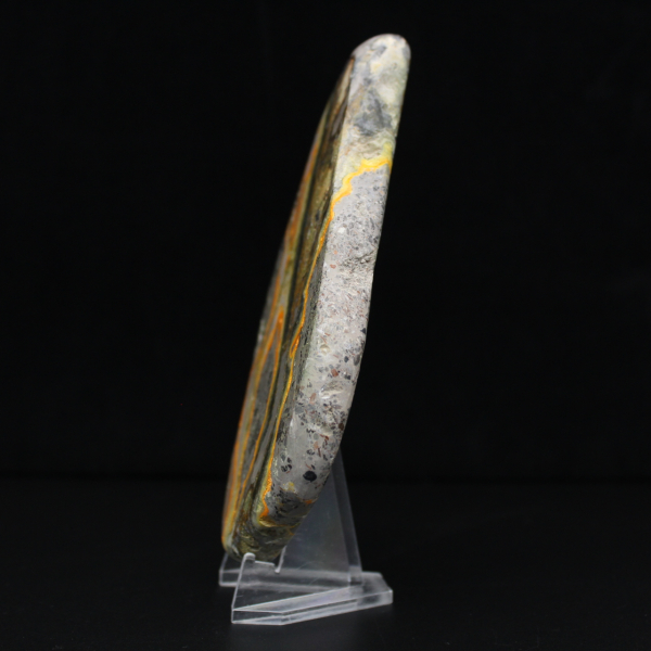 Polished Bumblebee Jasper, Rare Specimen Indonesia