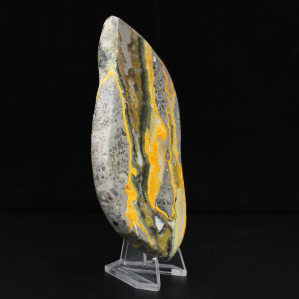 Polished Bumblebee Jasper, Rare Specimen Indonesia