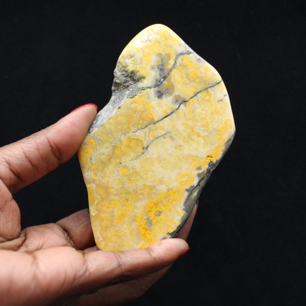 Bumblebee Jasper Large Polished Stone Collection