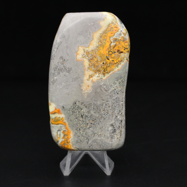 Bumblebee Jasper Polished Stone of Authenticity