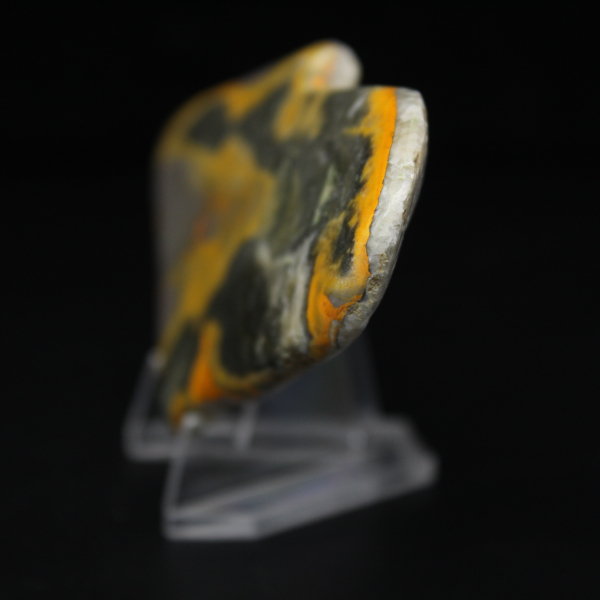 Polished Jasper Bumblebee Micro Coin