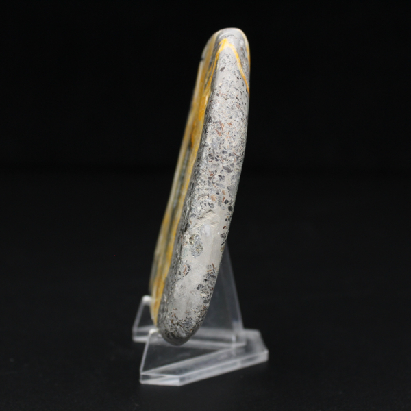 Miniature Jasper Bumblebee Polished Collection