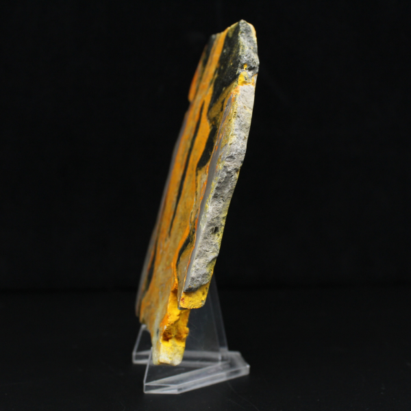 Bumblebee Jasper