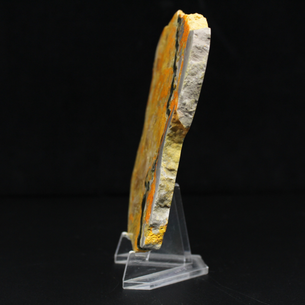 Bumblebee Jasper