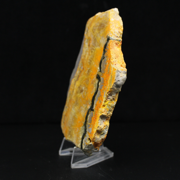 Bumblebee Jasper