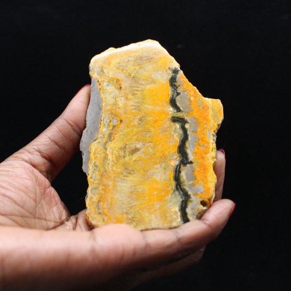 Bumblebee Jasper