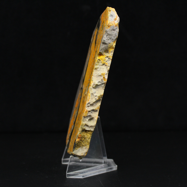 Bumblebee Jasper