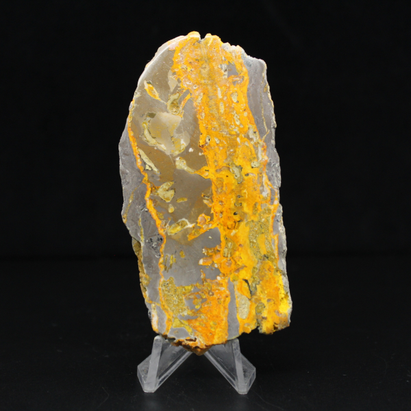 Bumblebee Jasper