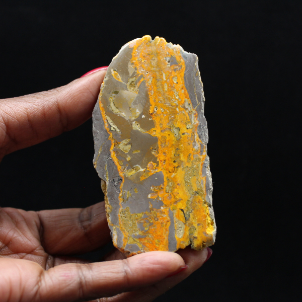 Bumblebee Jasper