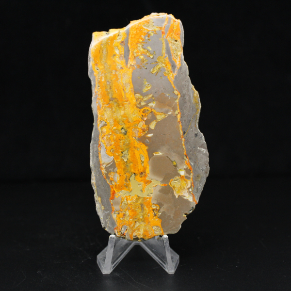 Bumblebee Jasper