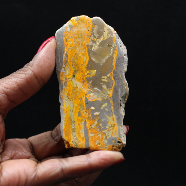 Bumblebee Jasper