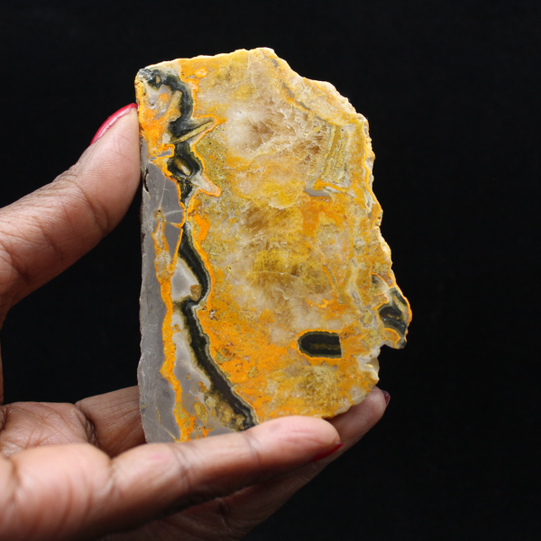 Bumblebee Jasper