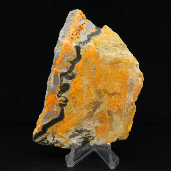 Bumblebee Jasper