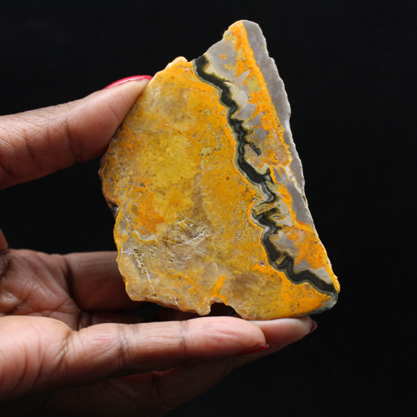 Bumblebee Jasper