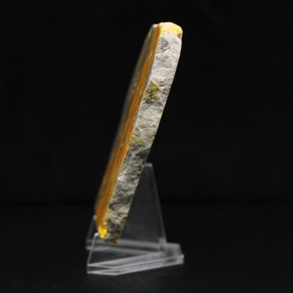 Bumblebee Jasper