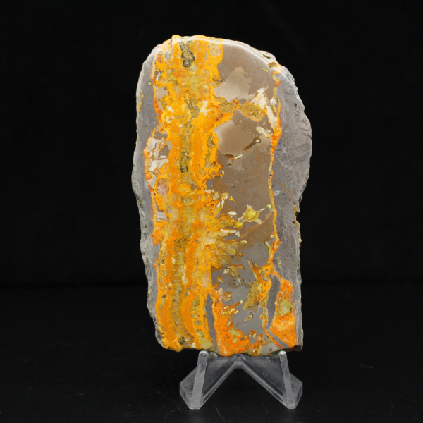 Bumblebee Jasper
