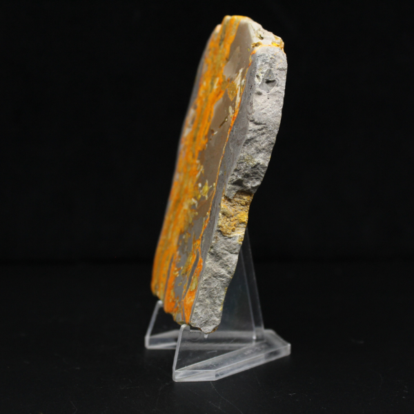 Bumblebee Jasper