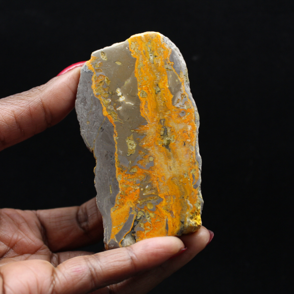 Bumblebee Jasper
