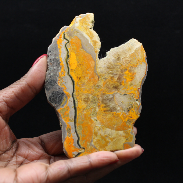 Bumblebee Jasper