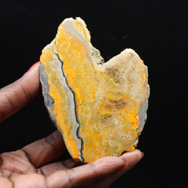Bumblebee Jasper