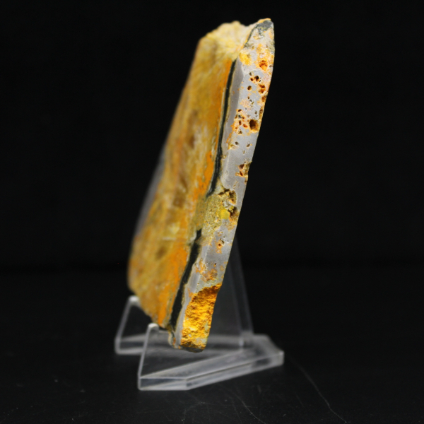 Bumblebee Jasper