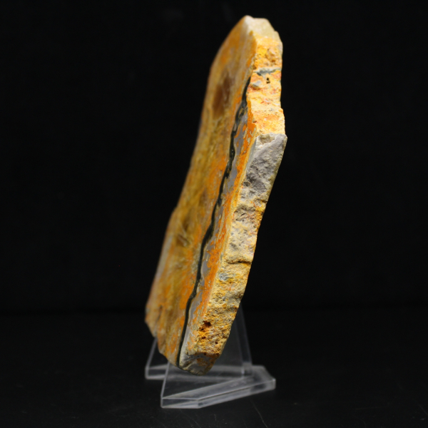 Bumblebee Jasper