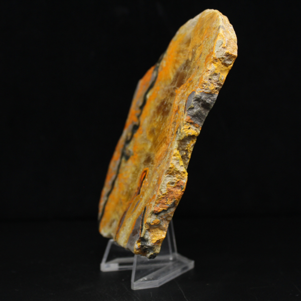 Bumblebee Jasper