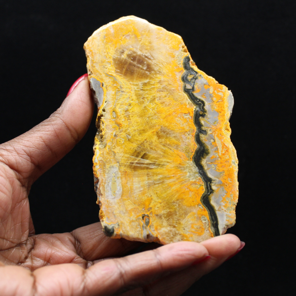 Bumblebee Jasper