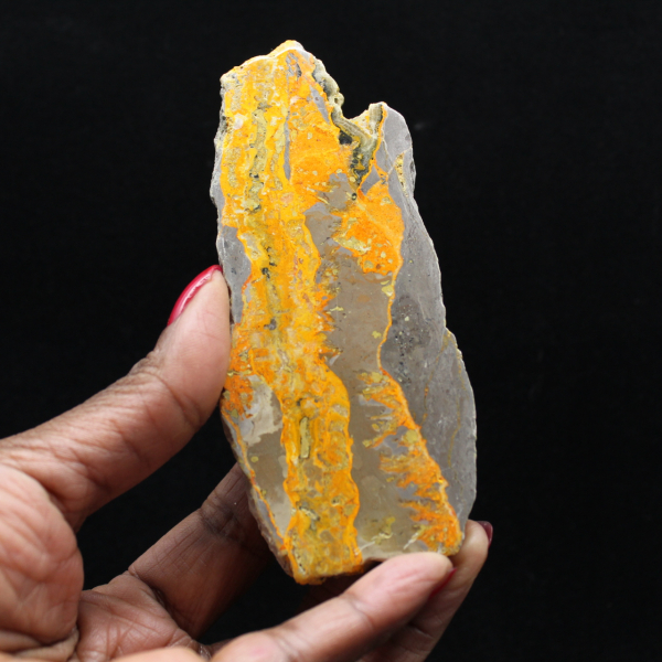 Bumblebee Jasper