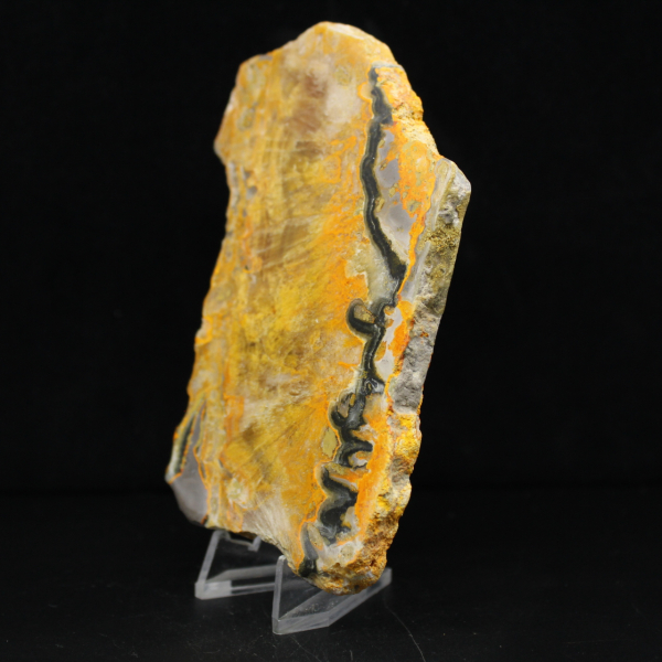 Bumblebee Jasper