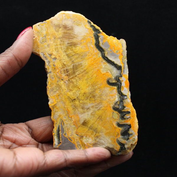 Bumblebee Jasper