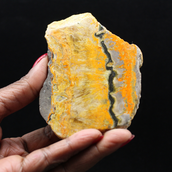 Bumblebee Jasper