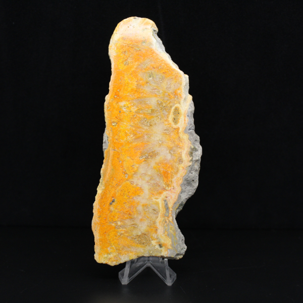 Bumblebee Jasper Plaque from Indonesia