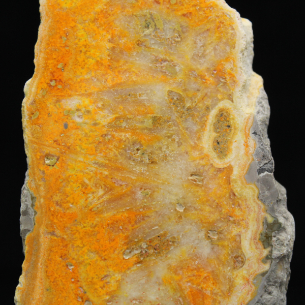 Bumblebee Jasper Plaque from Indonesia