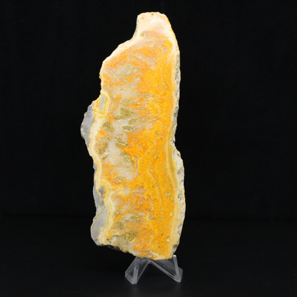 Polished slice of Indonesian Bumblebee Jasper